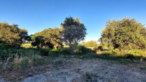 Terreno para Venda em Almoster