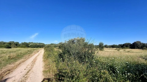 Terreno para Venda em Almoster