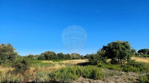Terreno para Venda em Almoster