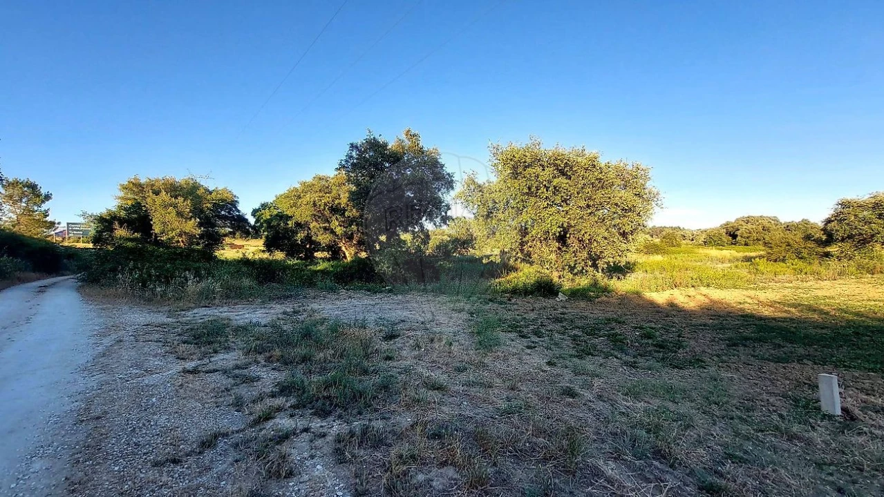 Terreno para Venda em Almoster Foto 9