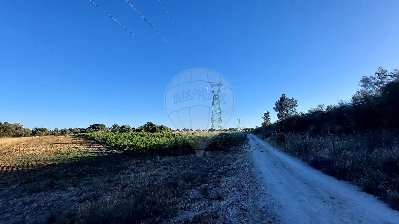 Terreno para Venda em Almoster Foto 6