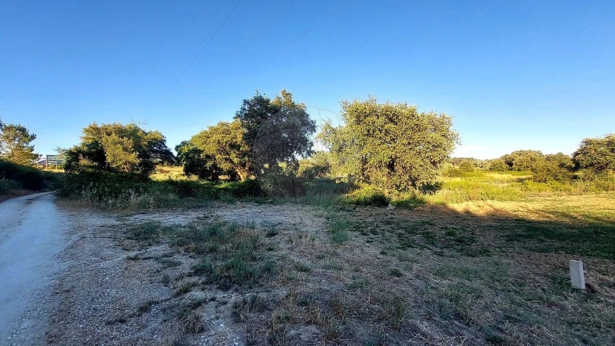Terreno para Venda em Almoster Foto 9
