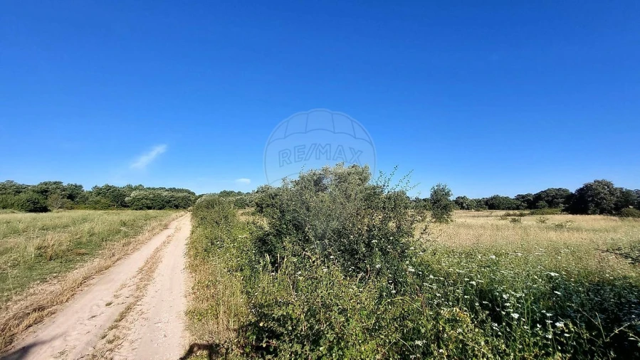 Terreno para Venda em Almoster Foto 19