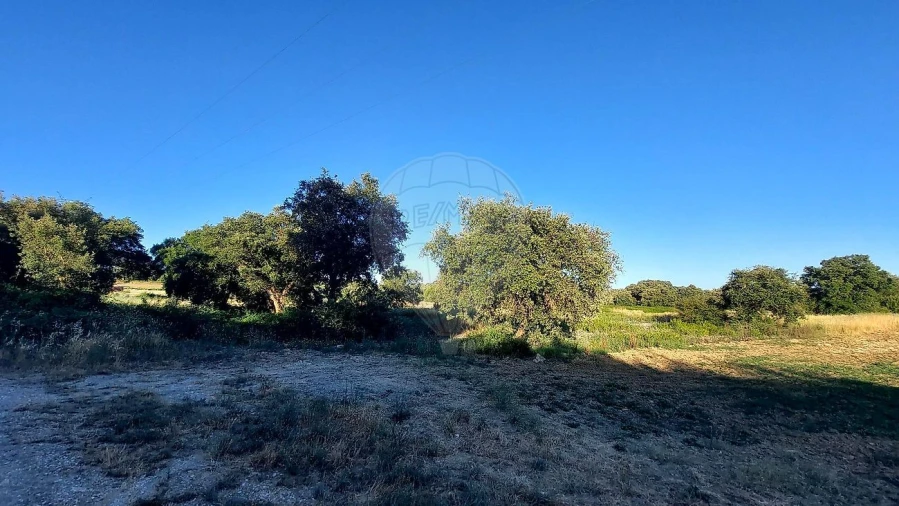 Terreno para Venda em Almoster Foto 8