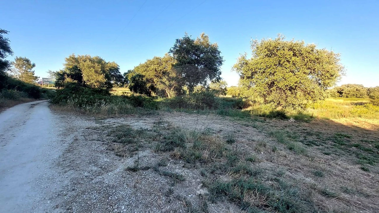 Terreno para Venda em Almoster Foto 10