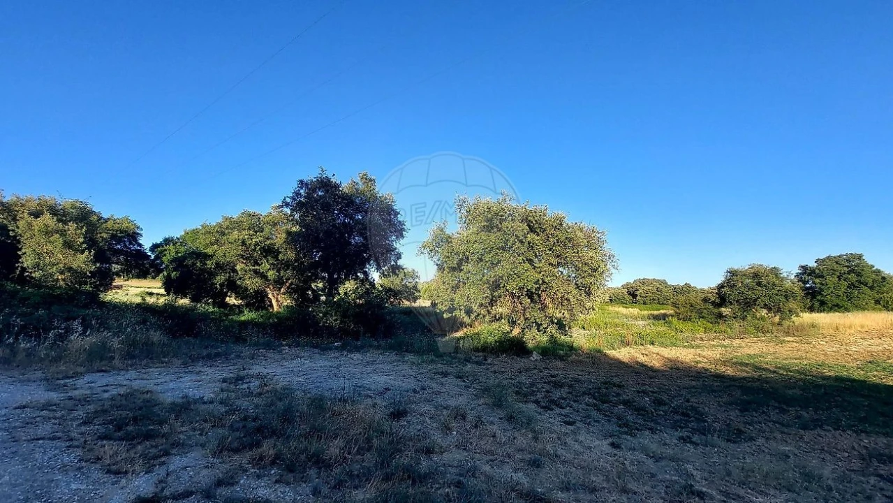 Terreno para Venda em Almoster Foto 8