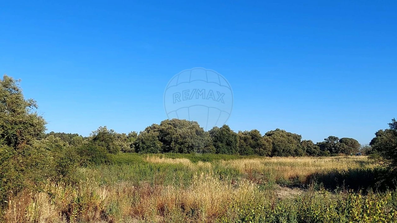 Terreno para Venda em Almoster Foto 4