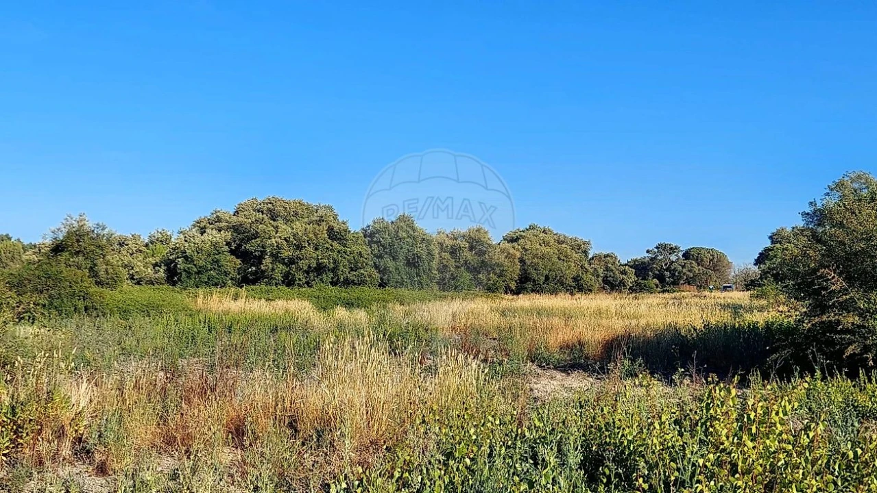 Terreno para Venda em Almoster Foto 12