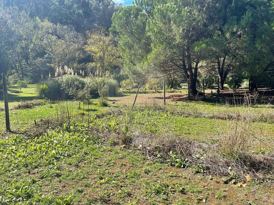 Moradia T3 para Venda em Mafra Foto 24