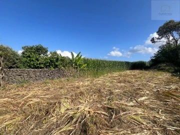 Moradia T3 para Venda em Fenais da Luz