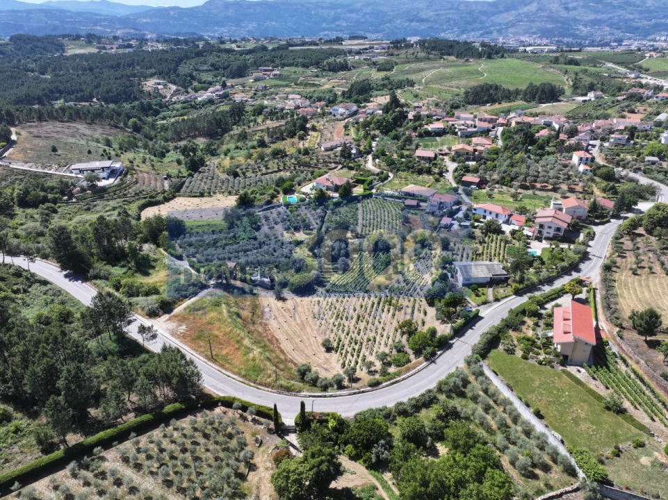Terreno para Venda em Folhadela Foto 1