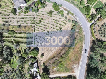 Terreno para Venda em Folhadela