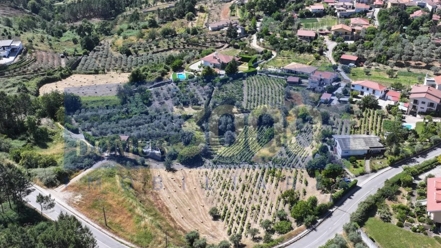 Terreno para Venda em Folhadela