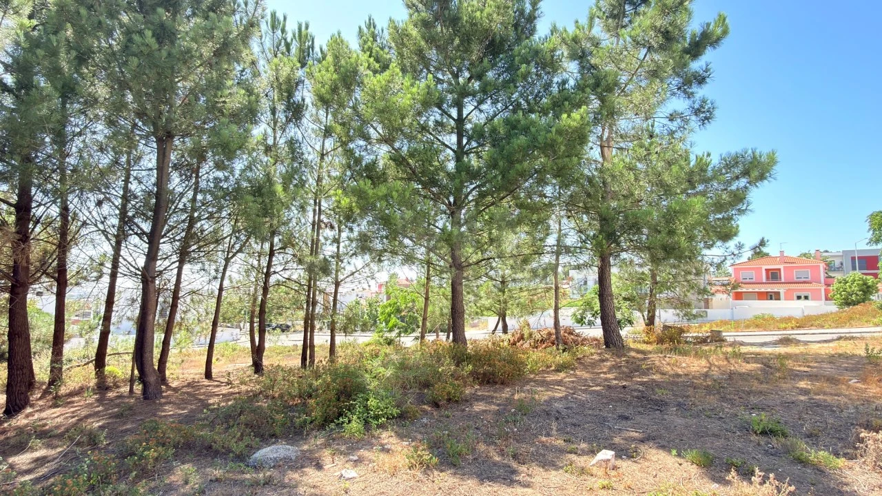 Terreno para Venda em A dos Cunhados e Maceira Foto 5