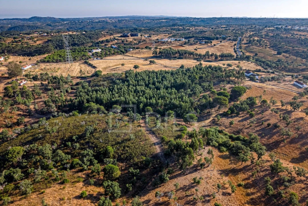 Terreno para Venda em São Francisco da Serra Foto 19