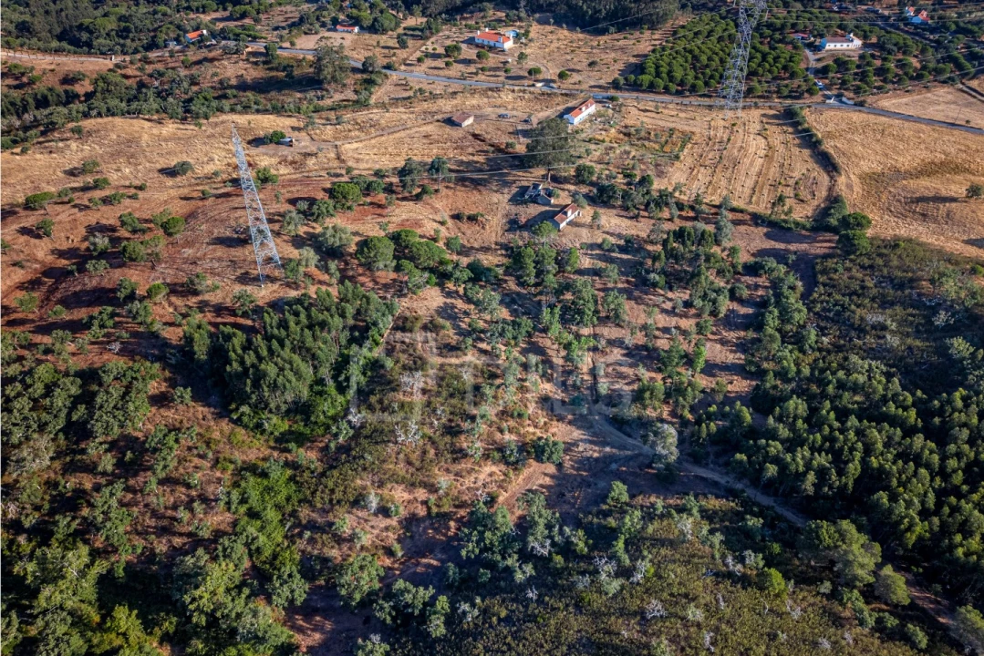 Terreno para Venda em São Francisco da Serra Foto 21