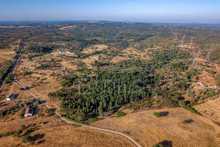 Terreno para Venda em São Francisco da Serra Foto 17