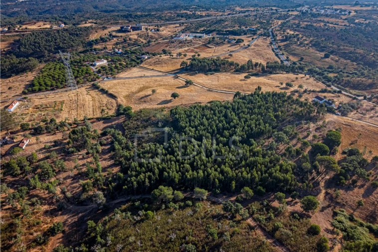 Terreno para Venda em São Francisco da Serra Foto 20