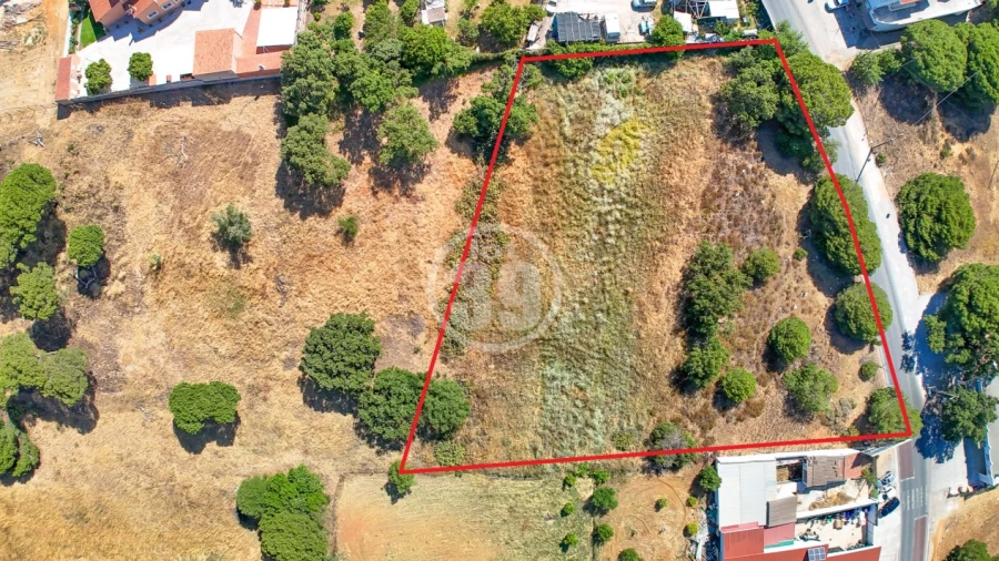 Terreno Agricola ou Rústico para Venda em Almancil