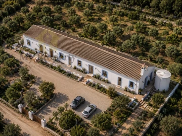 Quinta T4 para Venda em Ferreiras