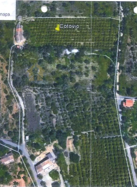 Quinta T4 para Venda em Ferreiras