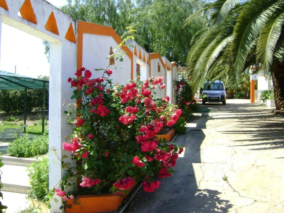 Terreno para Venda em Cabeça Gorda Foto 4