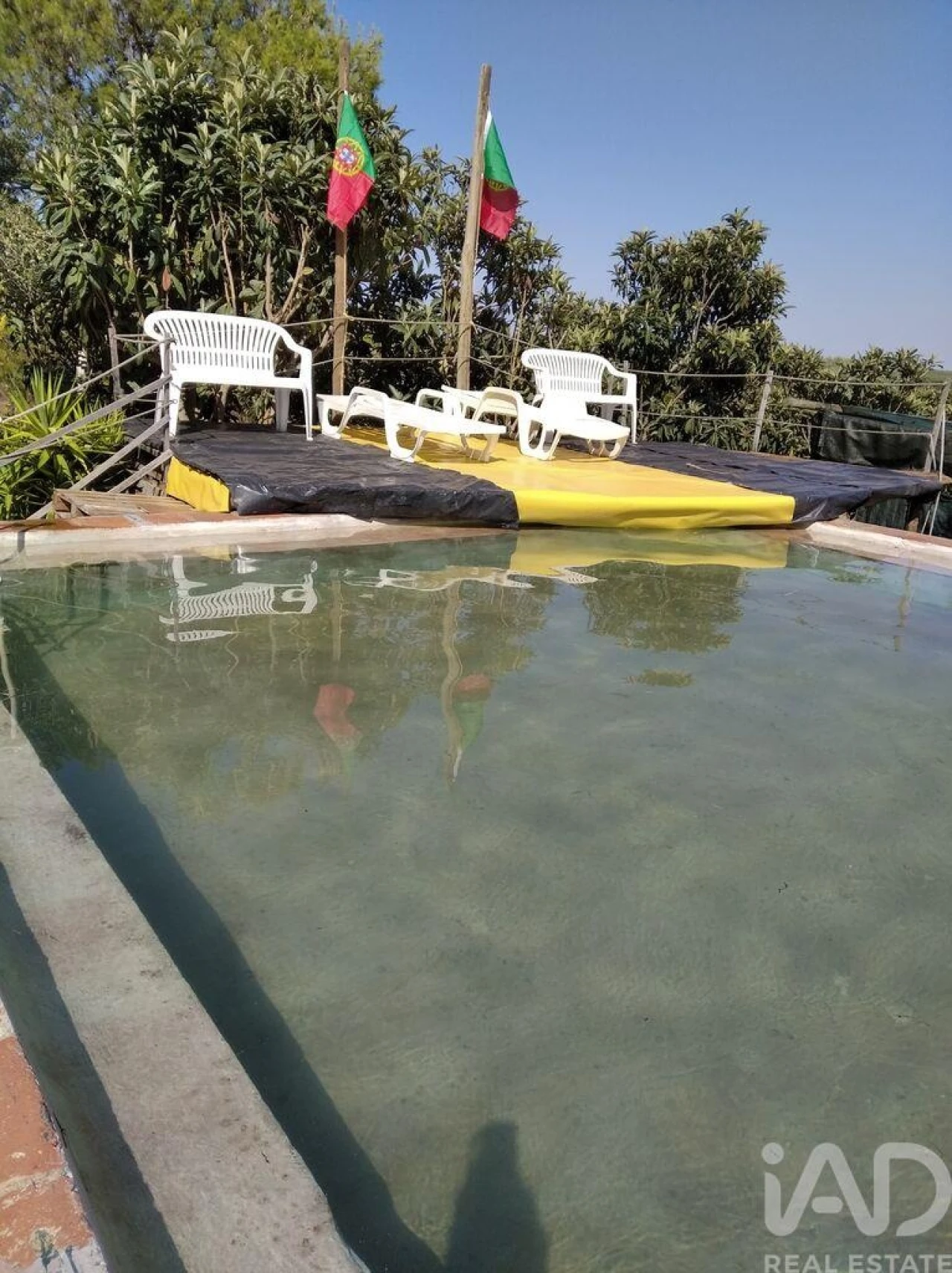 Terreno para Venda em Cabeça Gorda Foto 21