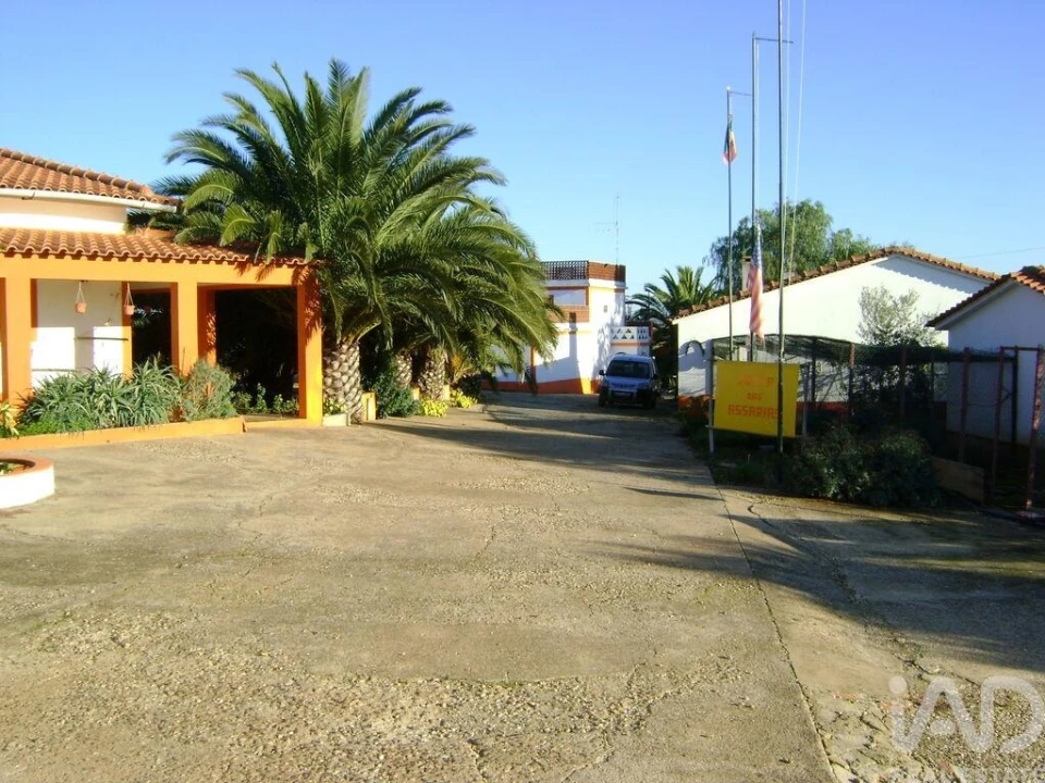 Terreno para Venda em Cabeça Gorda Foto 6