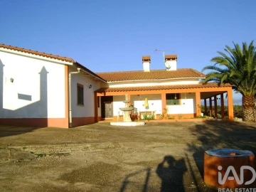 Terreno para Venda em Cabeça Gorda