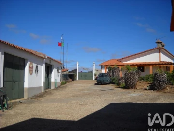 Terreno para Venda em Cabeça Gorda
