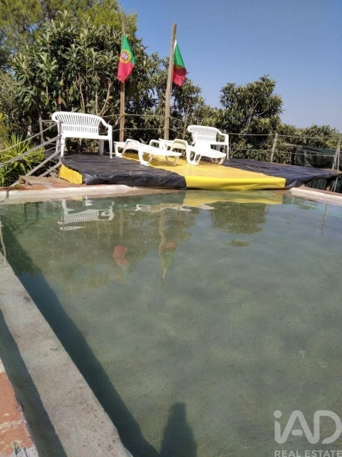 Terreno para Venda em Cabeça Gorda