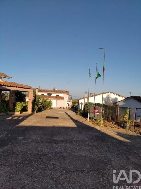 Terreno para Venda em Cabeça Gorda