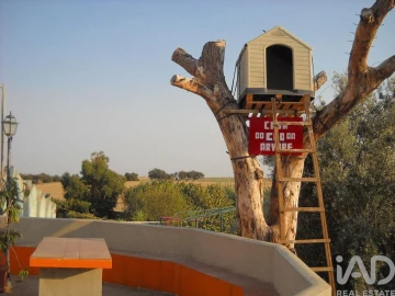 Terreno para Venda em Cabeça Gorda