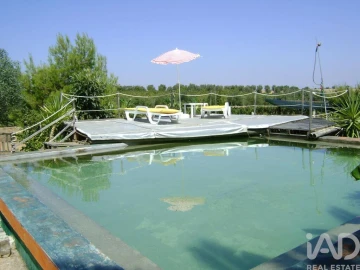 Terreno para Venda em Cabeça Gorda