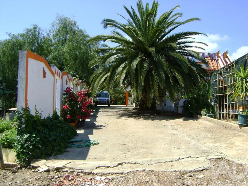 Terreno para Venda em Cabeça Gorda Foto 16