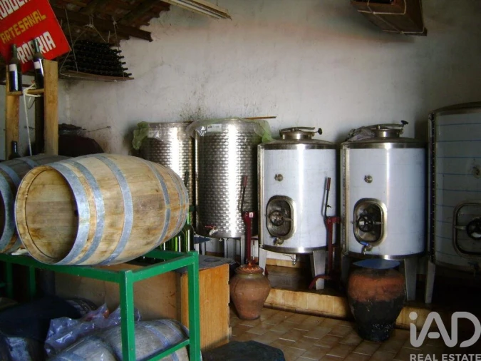 Terreno para Venda em Cabeça Gorda Foto 5