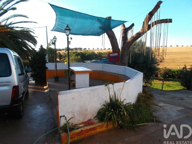 Terreno para Venda em Cabeça Gorda Foto 22