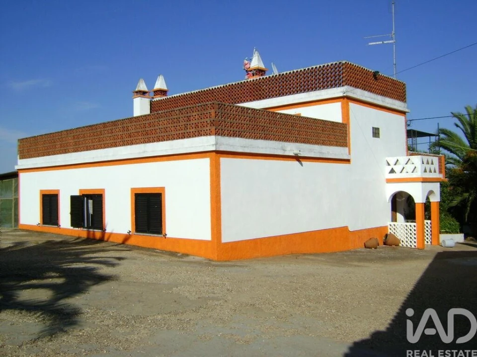 Terreno para Venda em Cabeça Gorda Foto 14