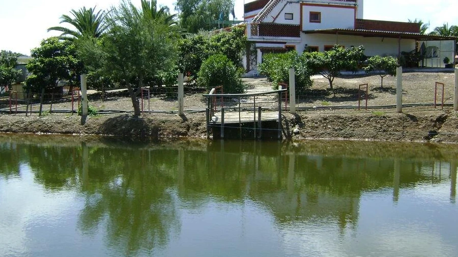 Terreno para Venda em Cabeça Gorda