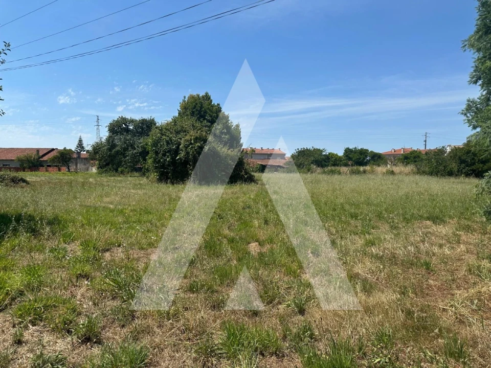 Terreno para Venda em Oiã Foto 4