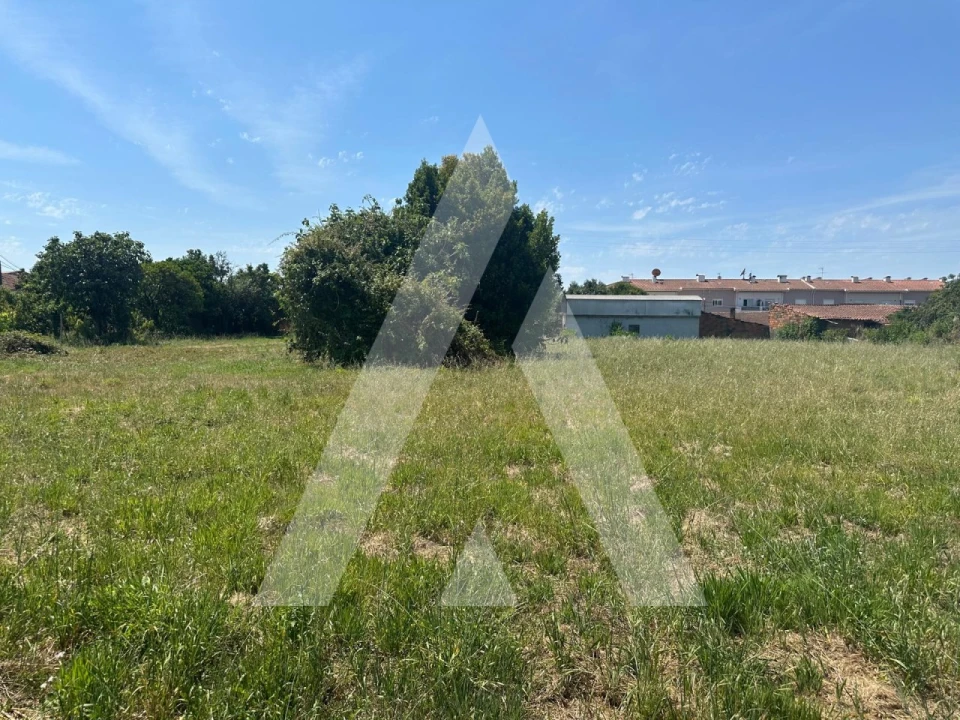 Terreno para Venda em Oiã Foto 5