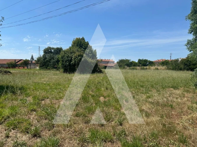 Terreno para Venda em Oiã Foto 4