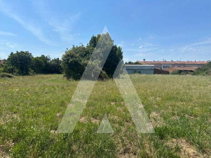 Terreno para Venda em Oiã Foto 5