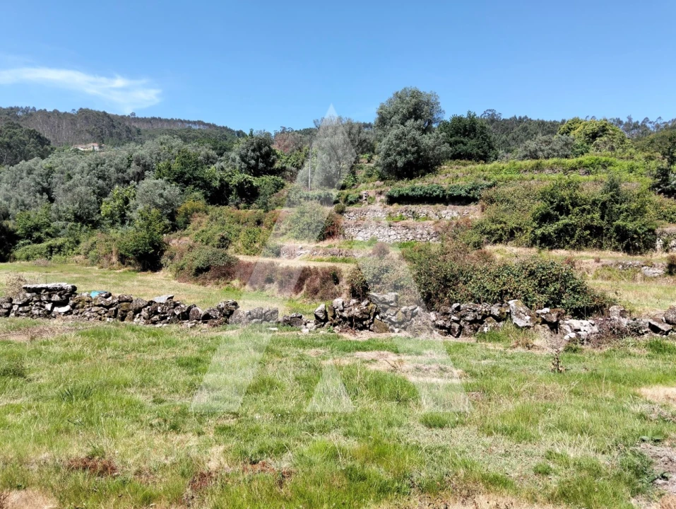Terreno Agricola ou Rústico para Venda em Navió e Vitorino dos Piães Foto 2