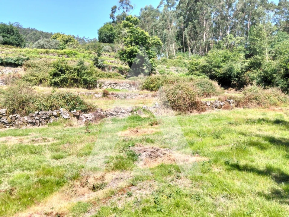 Terreno Agricola ou Rústico para Venda em Navió e Vitorino dos Piães Foto 3