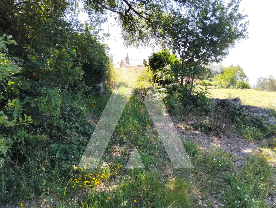Terreno Agricola ou Rústico para Venda em Navió e Vitorino dos Piães Foto 4