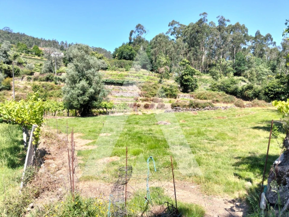 Terreno Agricola ou Rústico para Venda em Navió e Vitorino dos Piães Foto 1
