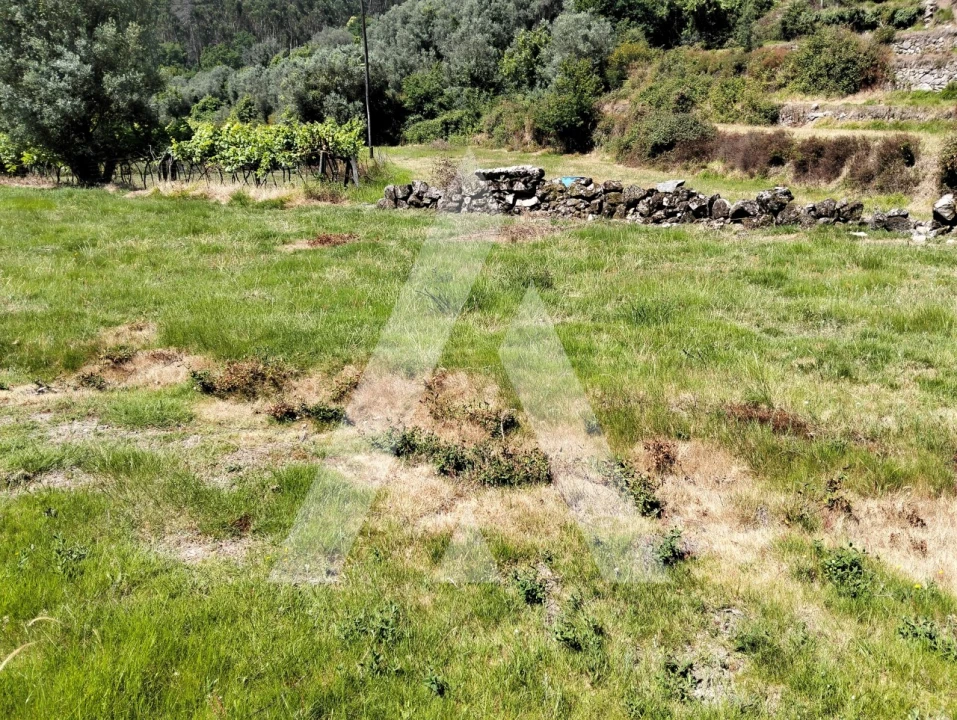 Terreno Agricola ou Rústico para Venda em Navió e Vitorino dos Piães Foto 6