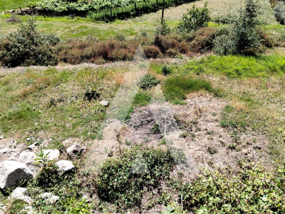 Terreno Agricola ou Rústico para Venda em Navió e Vitorino dos Piães Foto 13