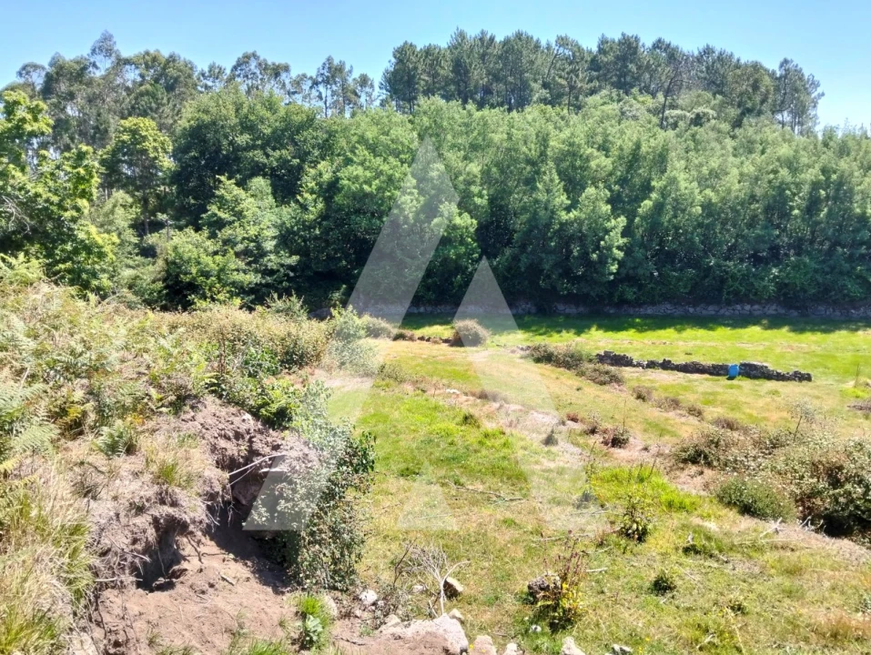 Terreno Agricola ou Rústico para Venda em Navió e Vitorino dos Piães Foto 14